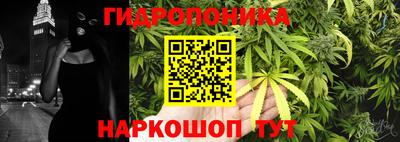 гидропоника Новозыбков