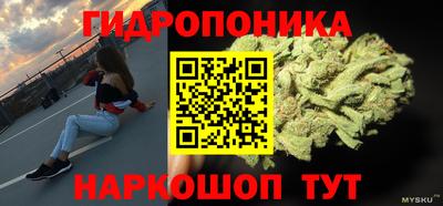 гидропоника Новозыбков
