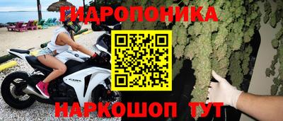 гидропоника Новозыбков