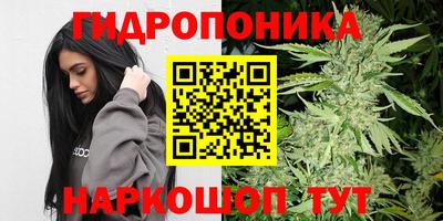 гидропоника Новозыбков