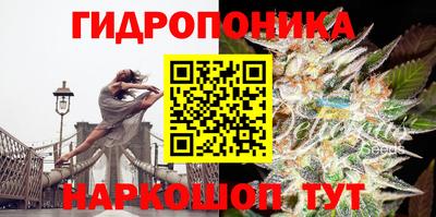 гидропоника Новозыбков