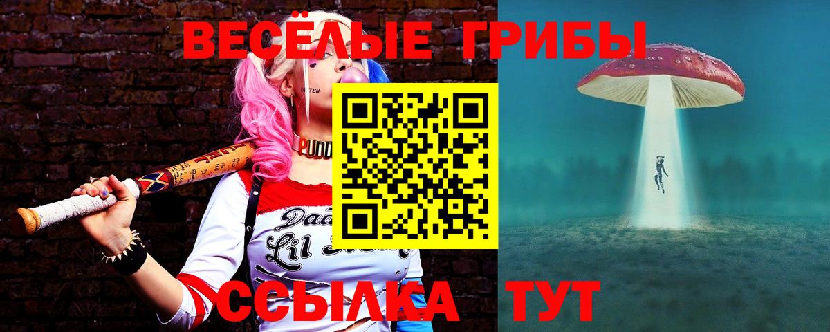 Псилоцибиновые грибы мицелий  наркошоп  Сунжа  Вход с VPN 