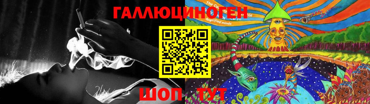 Псилоцибиновые грибы Cubensis Сунжа